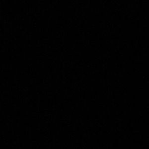 Meet your Posher, Amelia